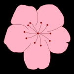 看片最新版